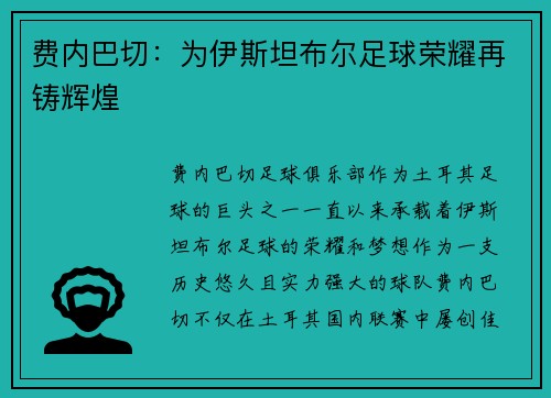 费内巴切:为伊斯坦布尔足球荣耀再铸辉煌 费内巴切:为伊斯坦布尔足球荣耀再铸辉煌